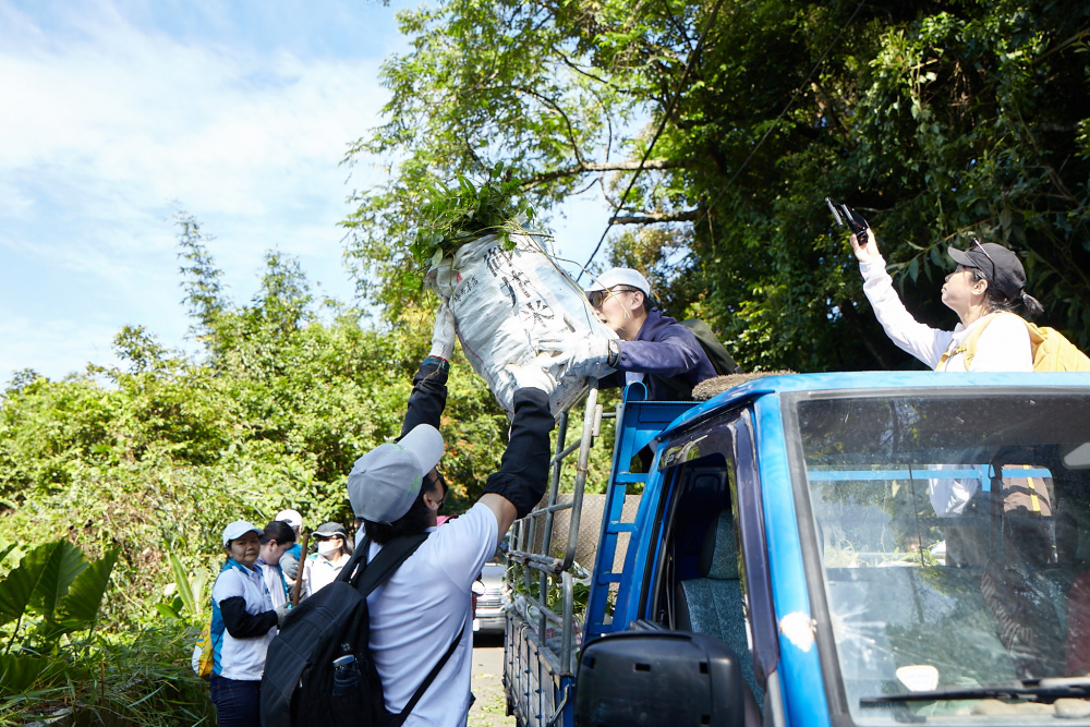 友達串聯志工組成水環境巡守隊，針對霄裡溪沿岸3公里的小花蔓澤蘭，定期進行移除與防治工作